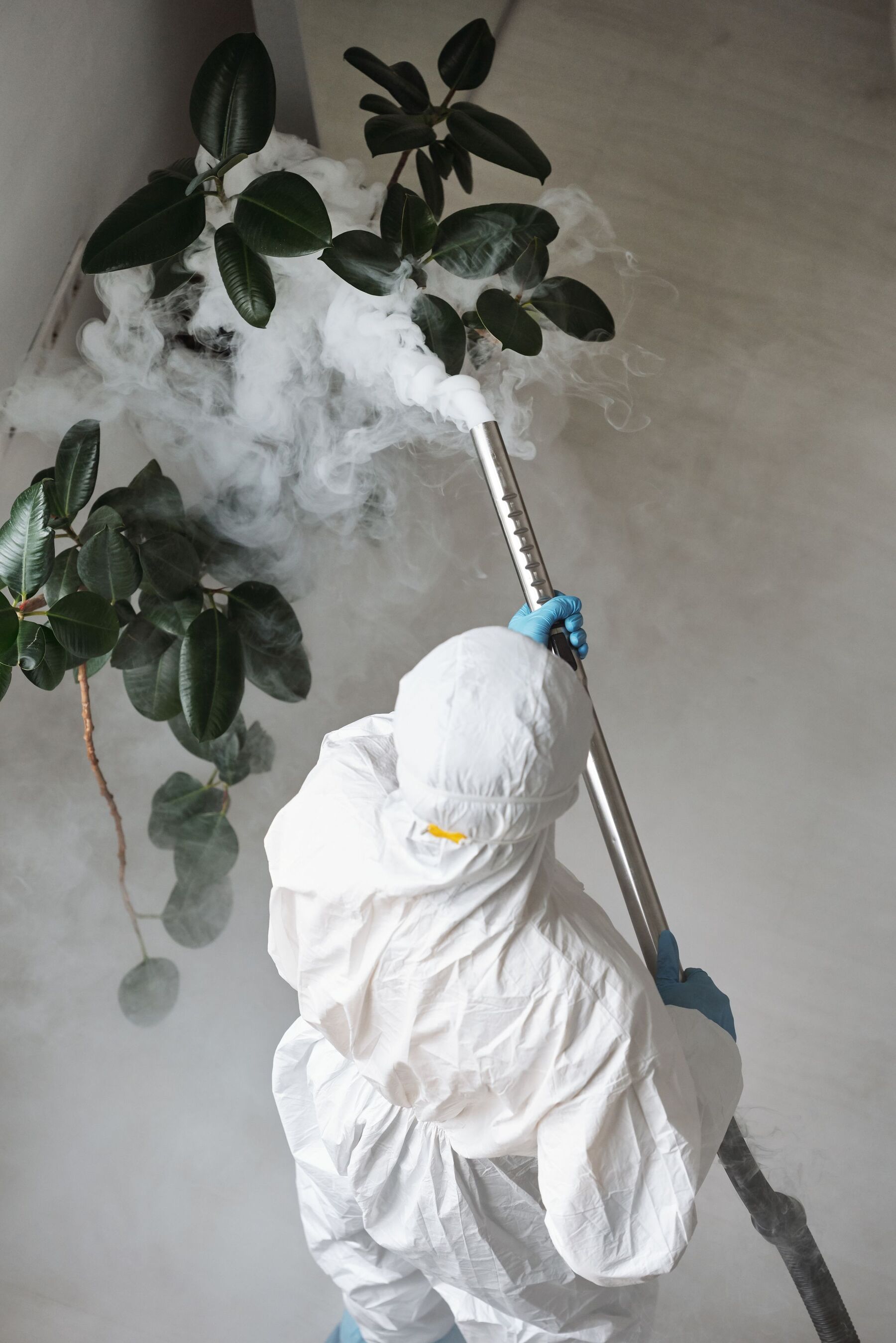 Technician in protective coveralls and gloves applying a treatment mist into a room corner with a wand sprayer